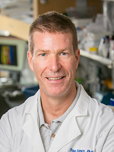 Dan Stamer